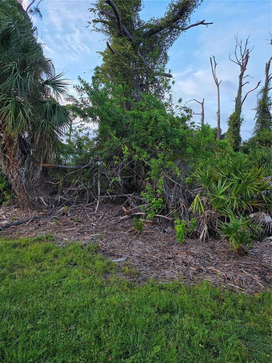 Property Photo: 13488 Drysdale Avenue FL 33981