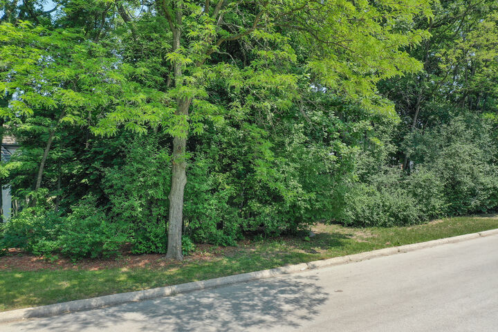 Property Photo: 910 Saint Stephens Green IL 60523