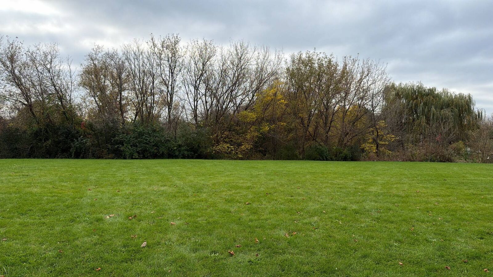 Property Photo: 30W181 Dean Court IL 60184