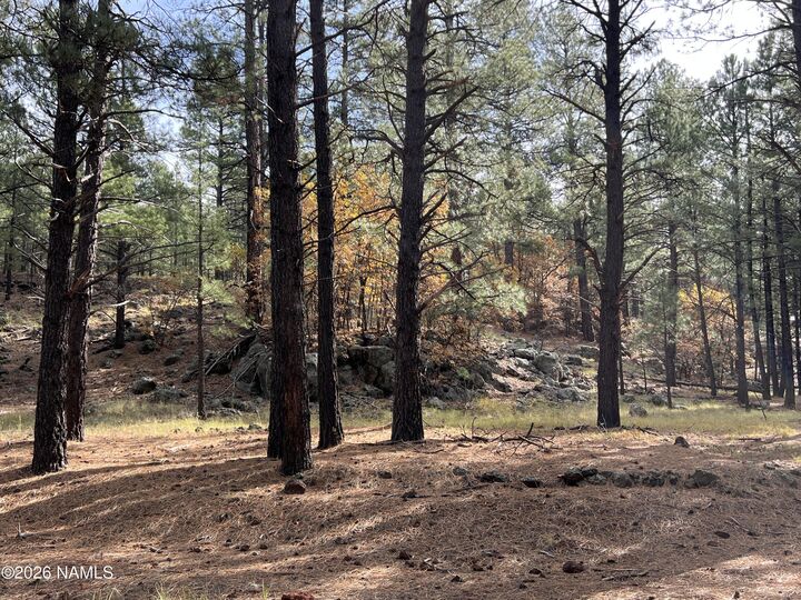 Property Photo:  1676 N Locksley Drive  AZ 86018 