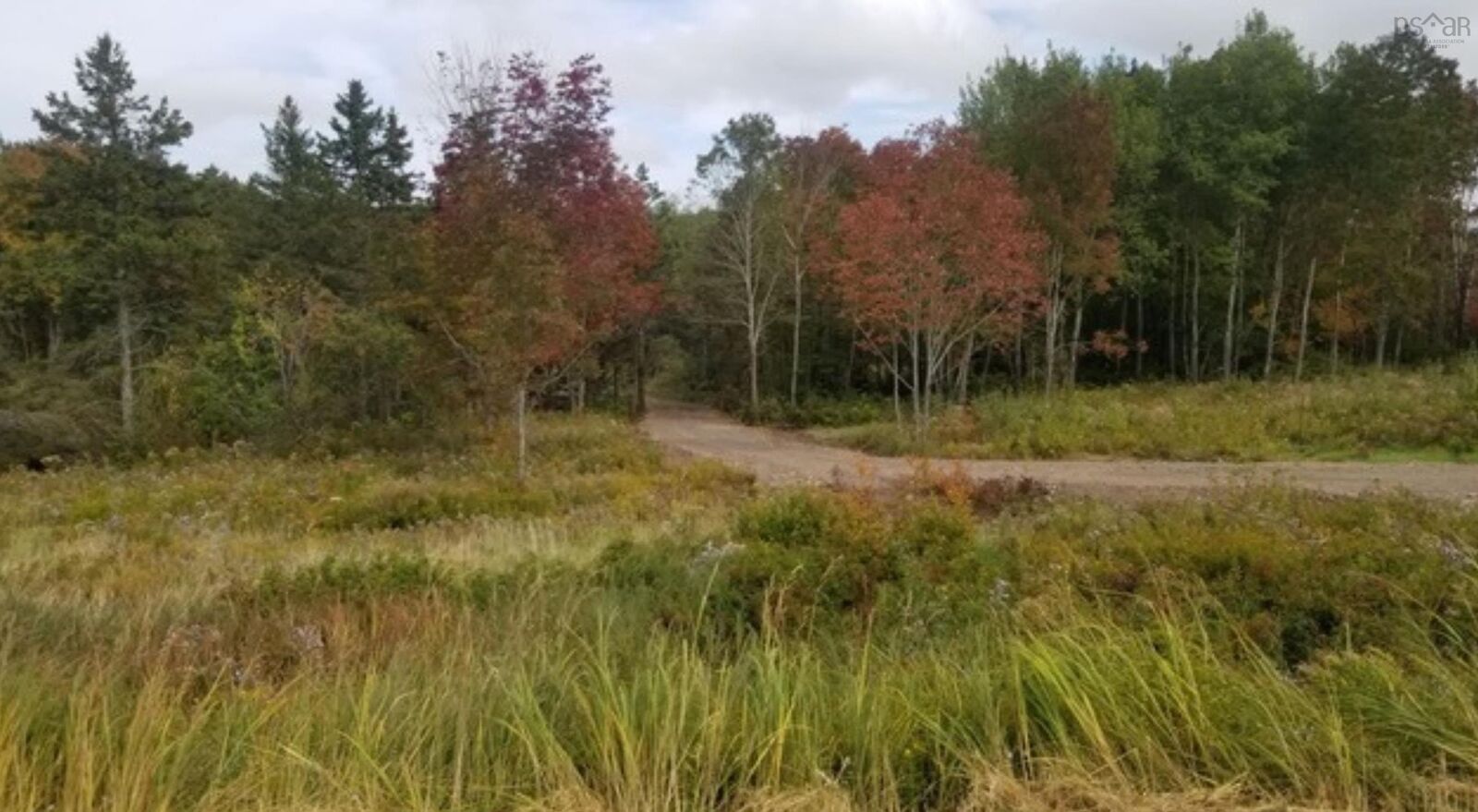 Property Photo:  Lot 2 Grand Pre Road  NS B4P 2R3 