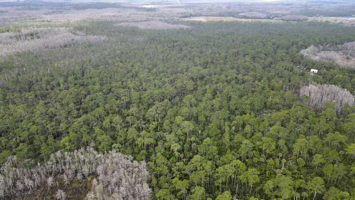 Property Photo:  11500 SW Warfield  FL 34956 