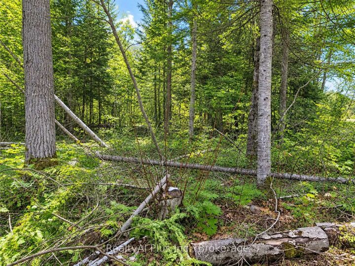 Property Photo:  1160 Camp Jackson Road  ON P0C 1H0 