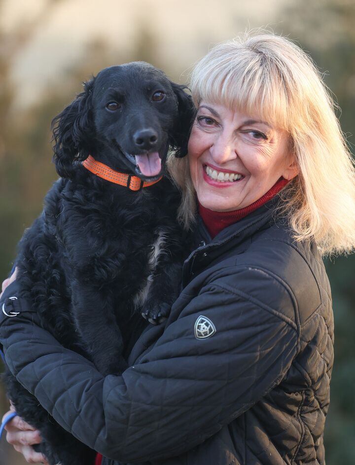 Lisa A Bennett, Real Estate Salesperson in Cheyenne, The Property Exchange