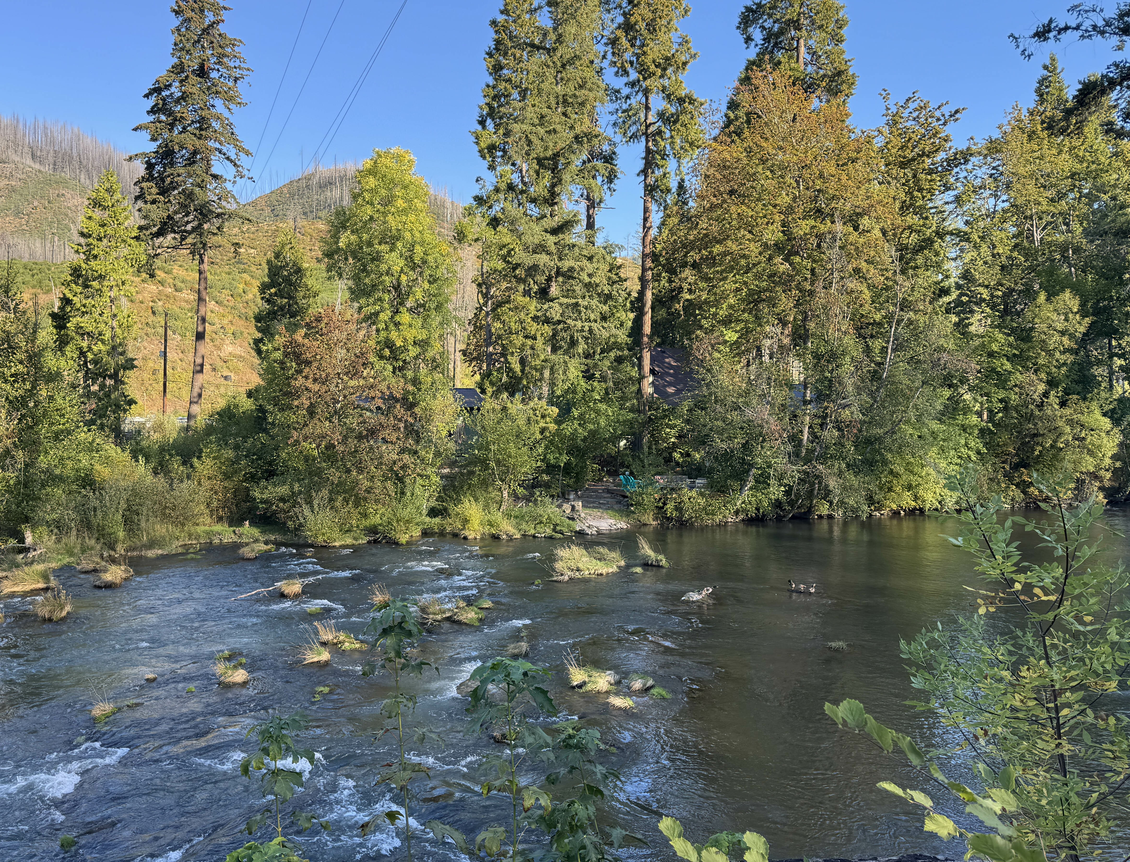 Property Photo: 91261 Blue River Rd OR 97413