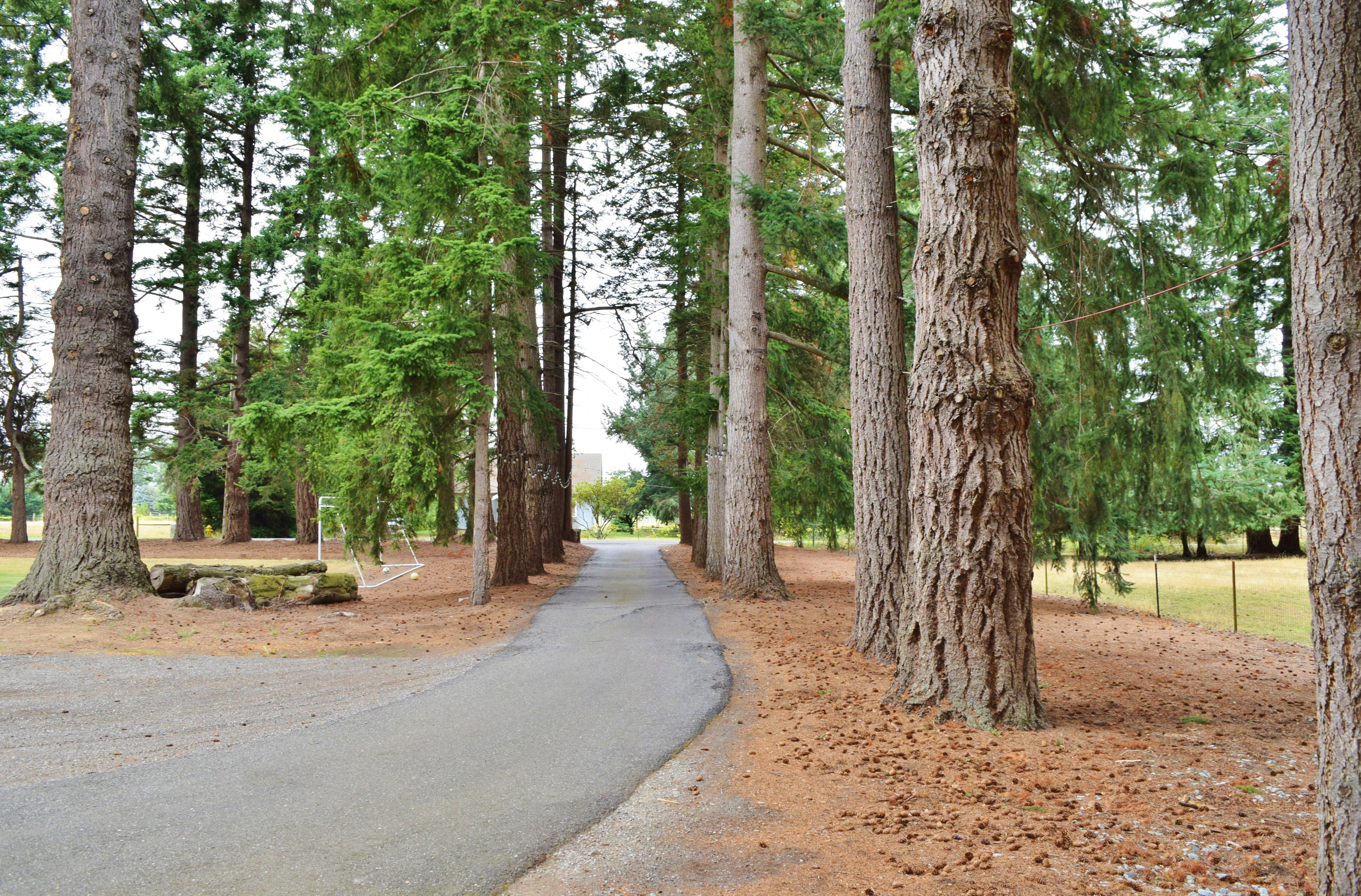 Property Photo: Property Views 919 Van Dyk Rd WA 98264