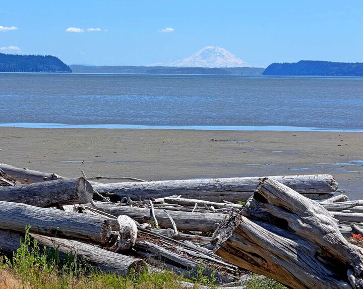 Property Photo:  846  Livingston Bay Shore Drive  WA 98282 