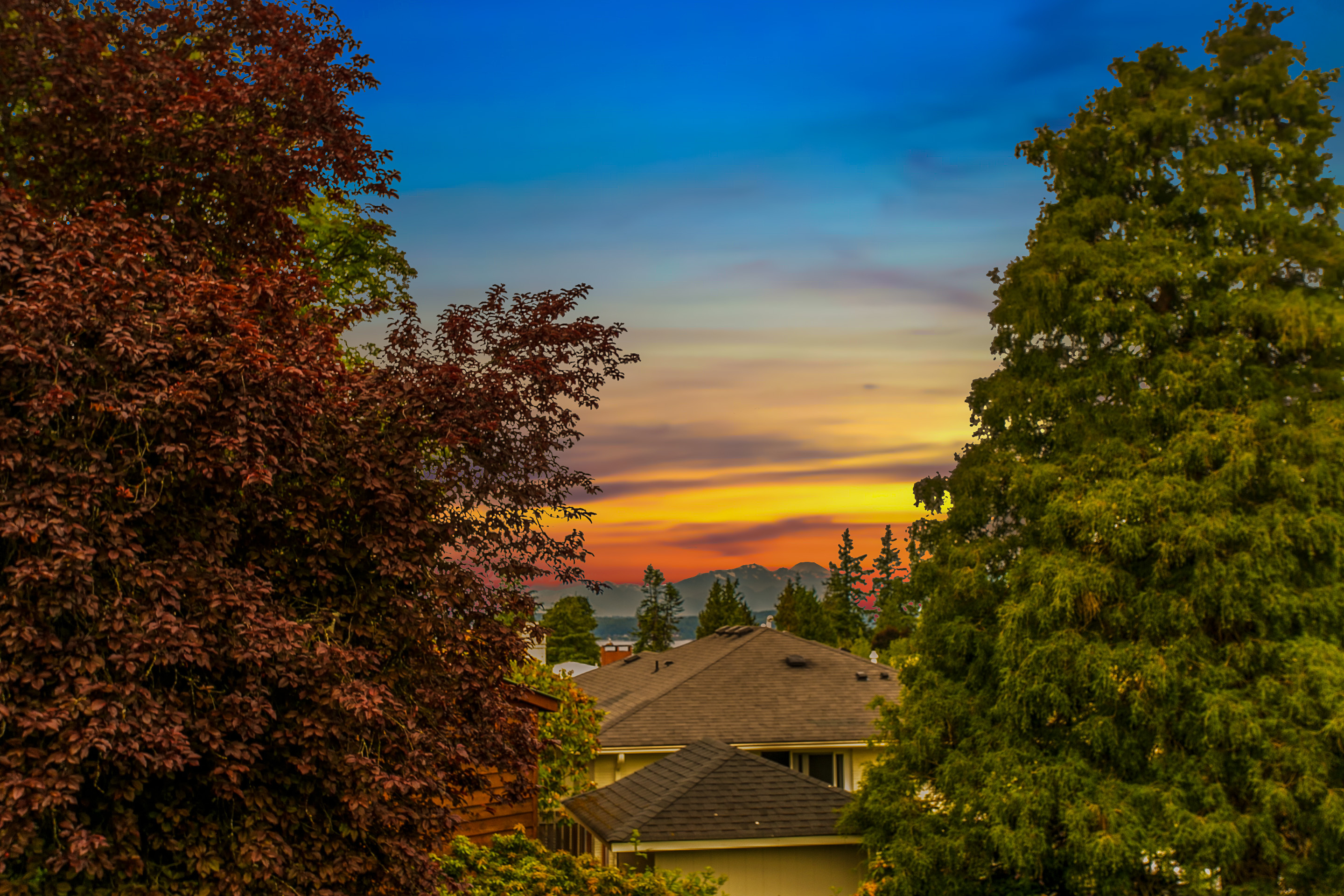 Property Photo: View of Olympic Mtns 3229 W Viewmont Wy W  WA 98199 