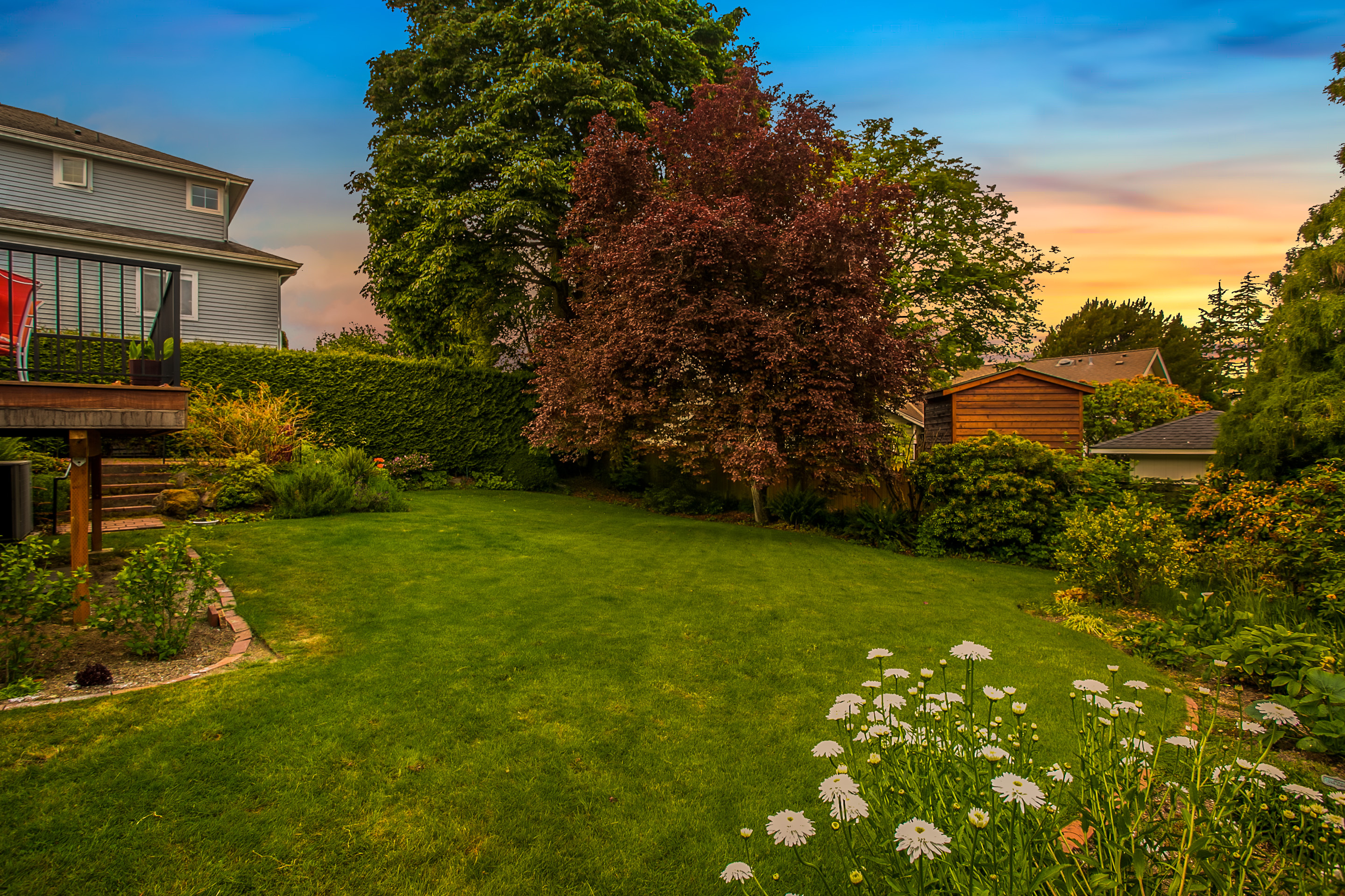 Property Photo: Backyard 3229 W Viewmont Wy W  WA 98199 