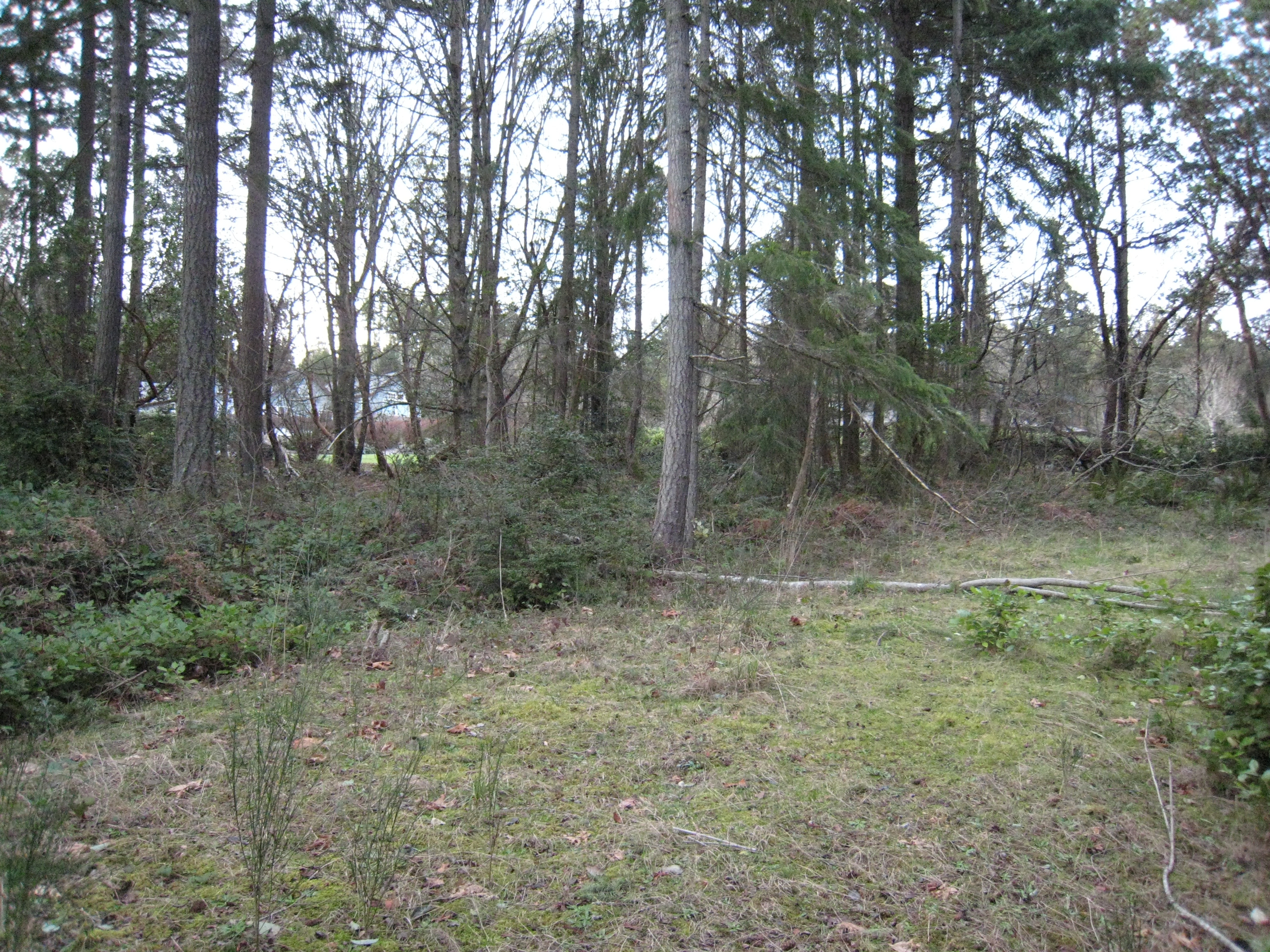 Property Photo: Tara lane 0lot 11 Tara Lane  WA 98110 