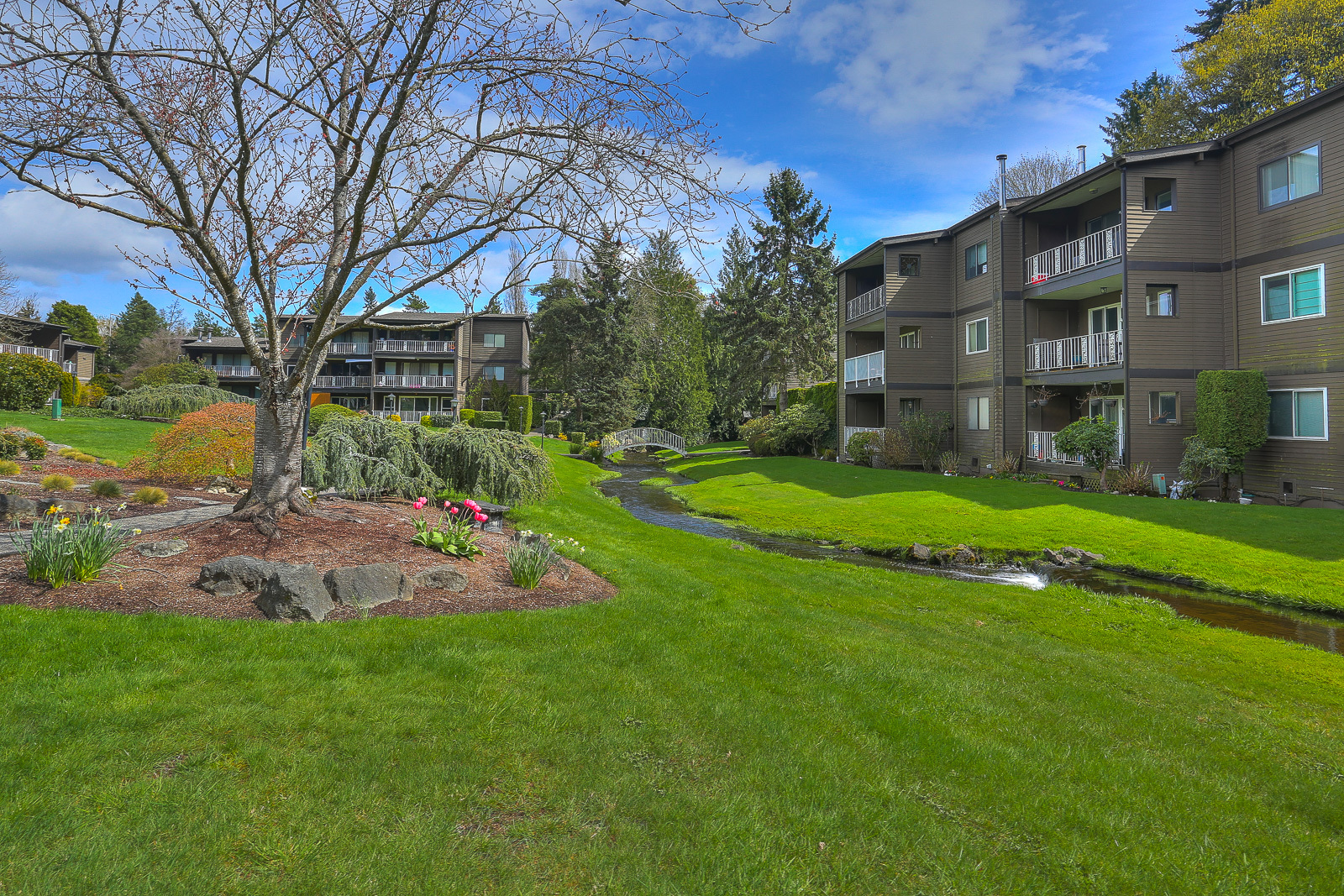 Property Photo: Jackson Park Bridgehaven 13257 15th Ave NE B9  WA 98125 