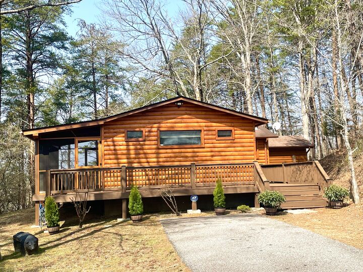 233 River Hills  Mineral Bluff GA 30559 photo