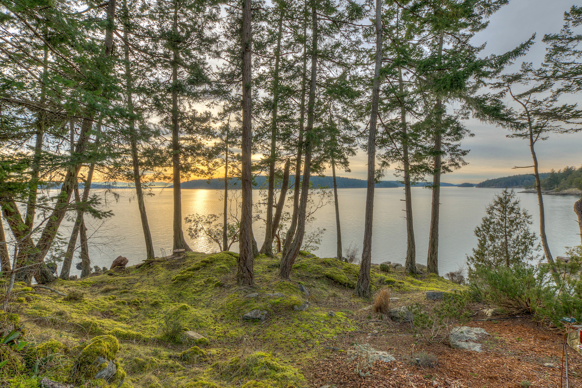 Property Photo:  1394 Foster Point Rd  WA 98280 