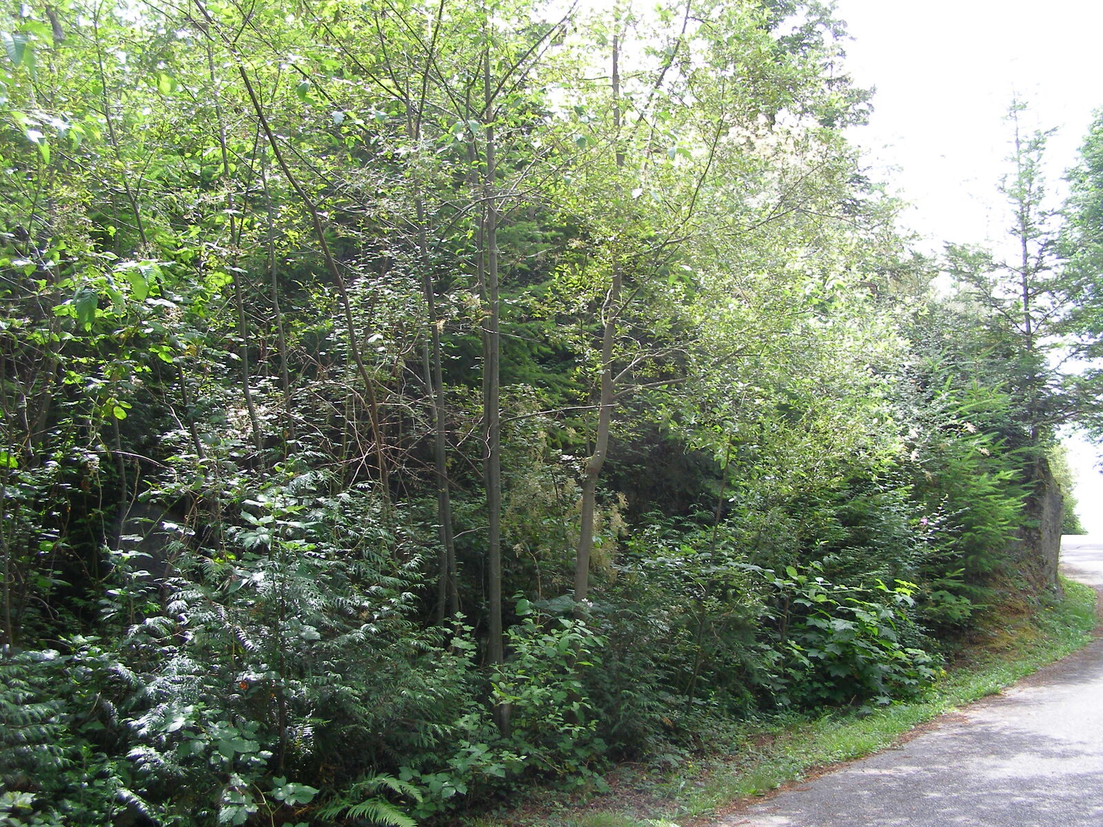 Property Photo: 1 Cox Lane WA 98221