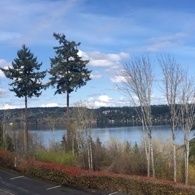 Property Photo: Deck/view 8001 Sand Point Way NE C53  WA 98115 